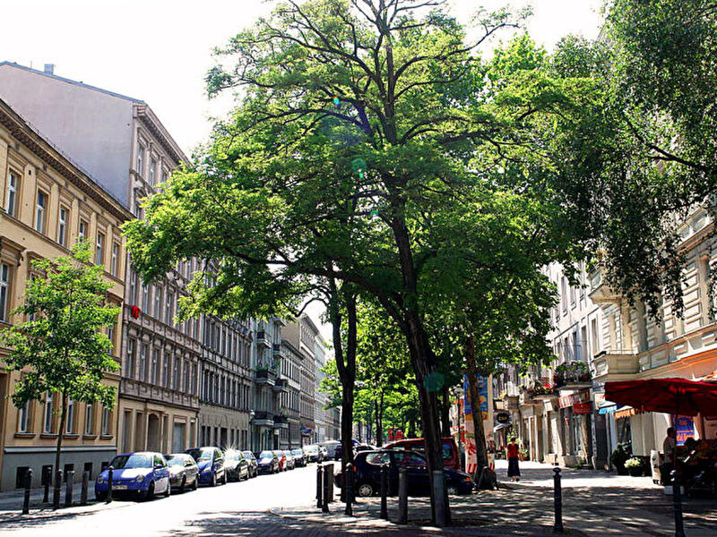 Sperrmüllabfuhr Charlottenburg-Wilmersdorf